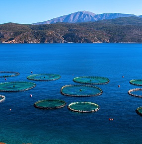 Selonda Aquaculture Farm