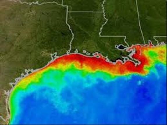 Red Tide Early Warning Systems